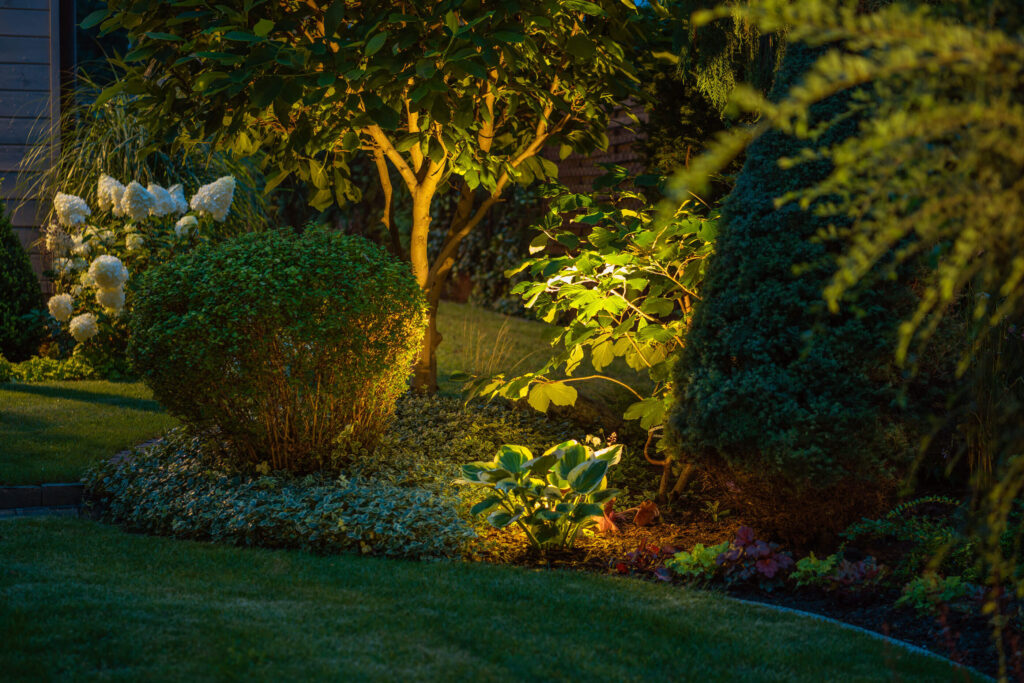 beautiful outdoor landscape lighting